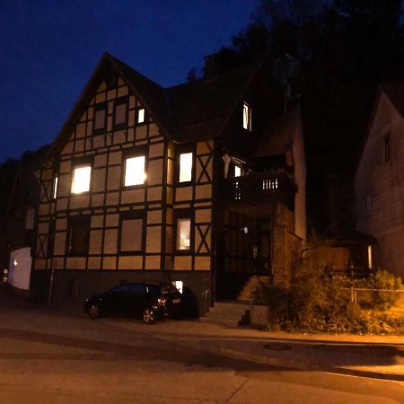 Ferienhaus Art Apartment - Harz Zorge Εξωτερικό φωτογραφία