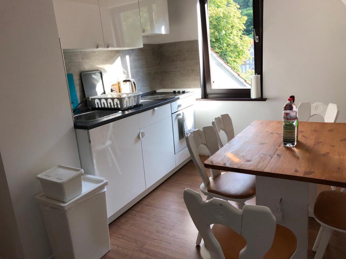 Ferienhaus Art Apartment - Harz Zorge Εξωτερικό φωτογραφία