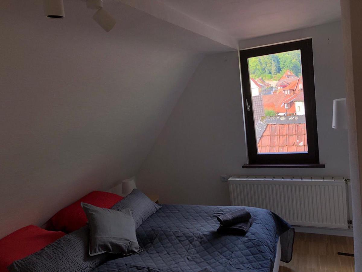 Ferienhaus Art Apartment - Harz Zorge Εξωτερικό φωτογραφία