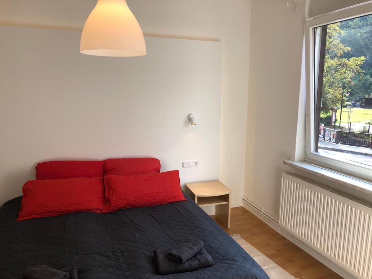 Ferienhaus Art Apartment - Harz Zorge Εξωτερικό φωτογραφία