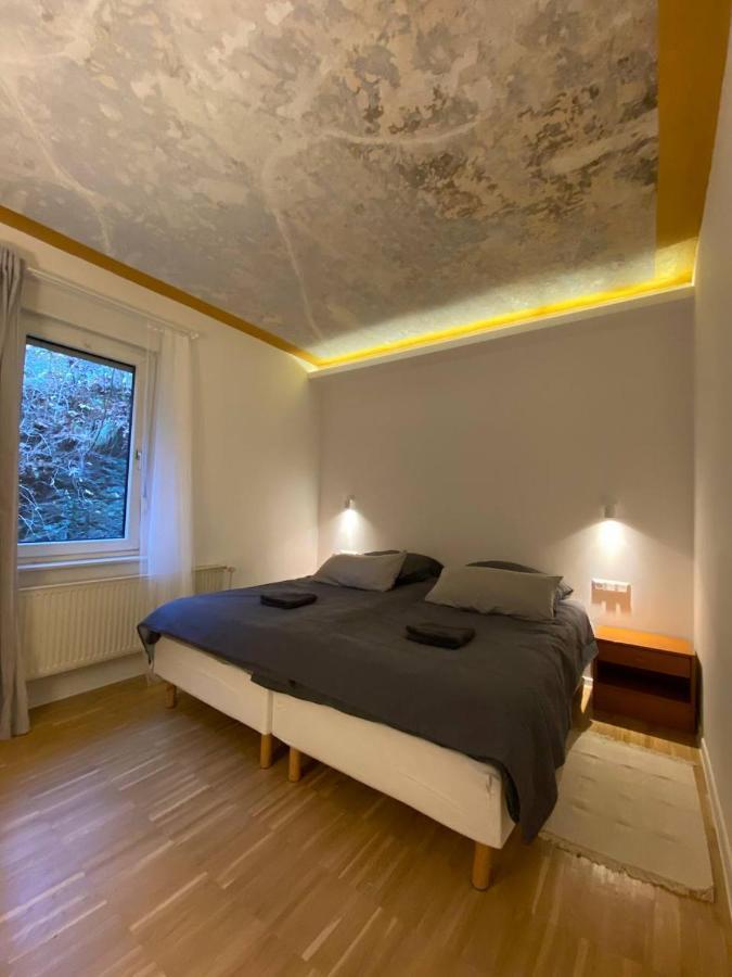 Ferienhaus Art Apartment - Harz Zorge Εξωτερικό φωτογραφία