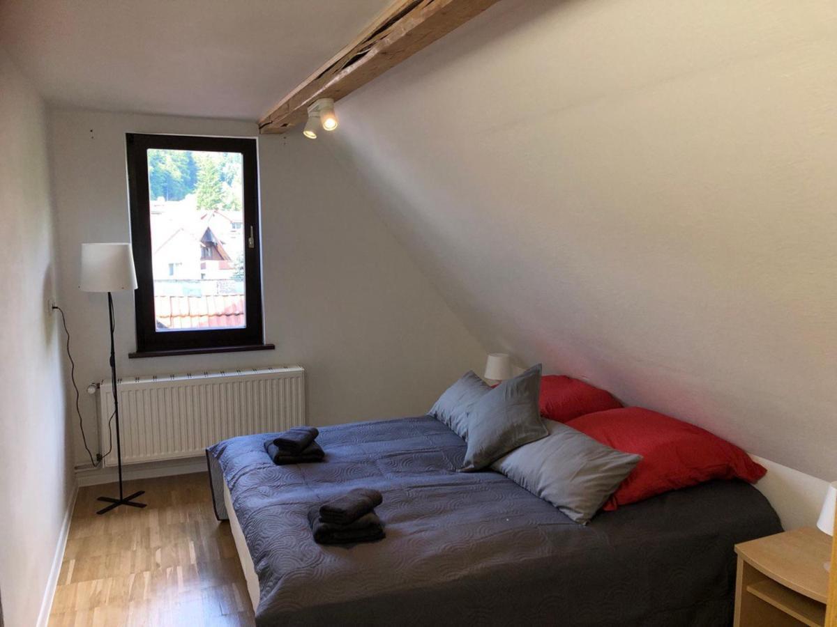Ferienhaus Art Apartment - Harz Zorge Εξωτερικό φωτογραφία