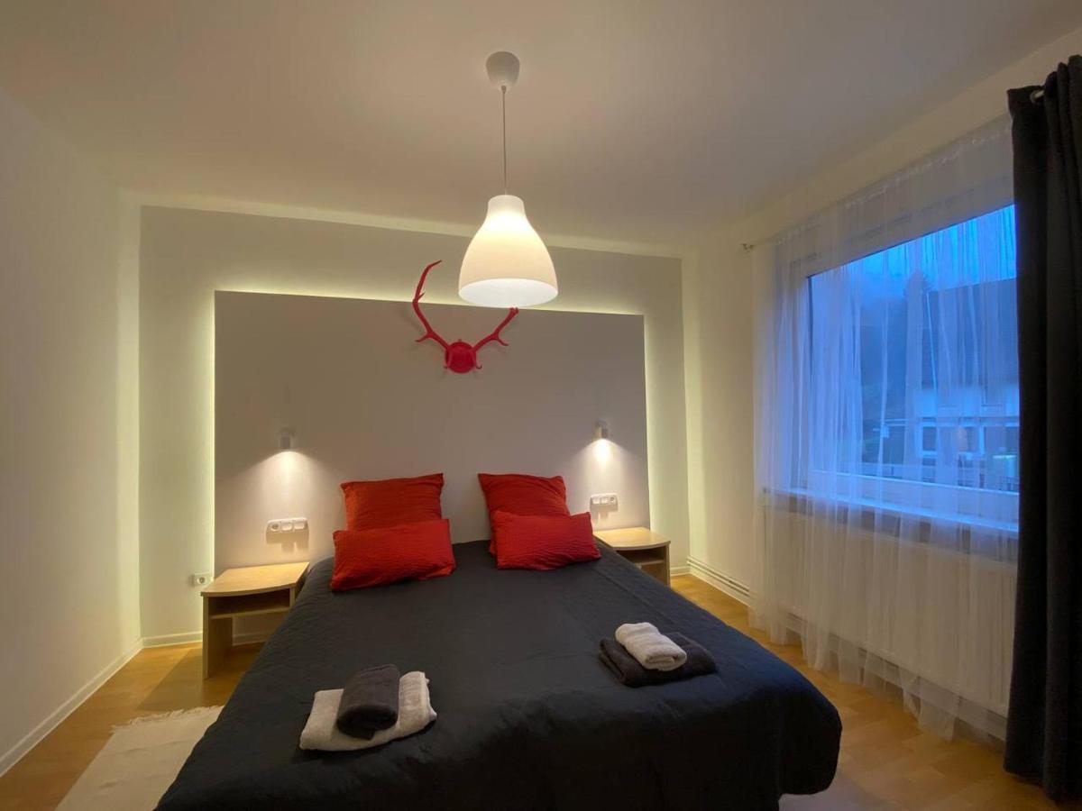 Ferienhaus Art Apartment - Harz Zorge Εξωτερικό φωτογραφία