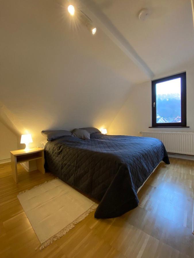 Ferienhaus Art Apartment - Harz Zorge Εξωτερικό φωτογραφία