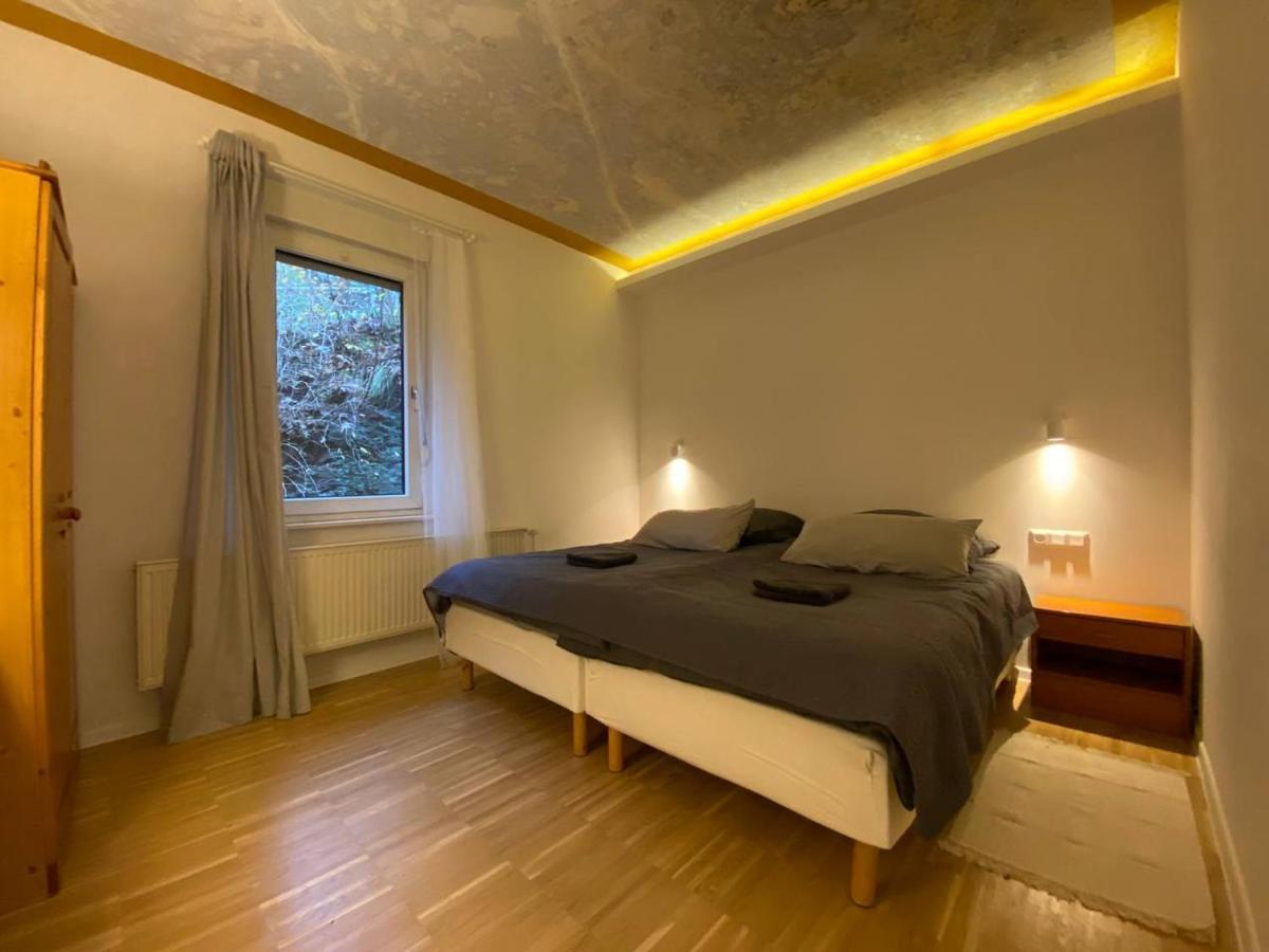 Ferienhaus Art Apartment - Harz Zorge Εξωτερικό φωτογραφία