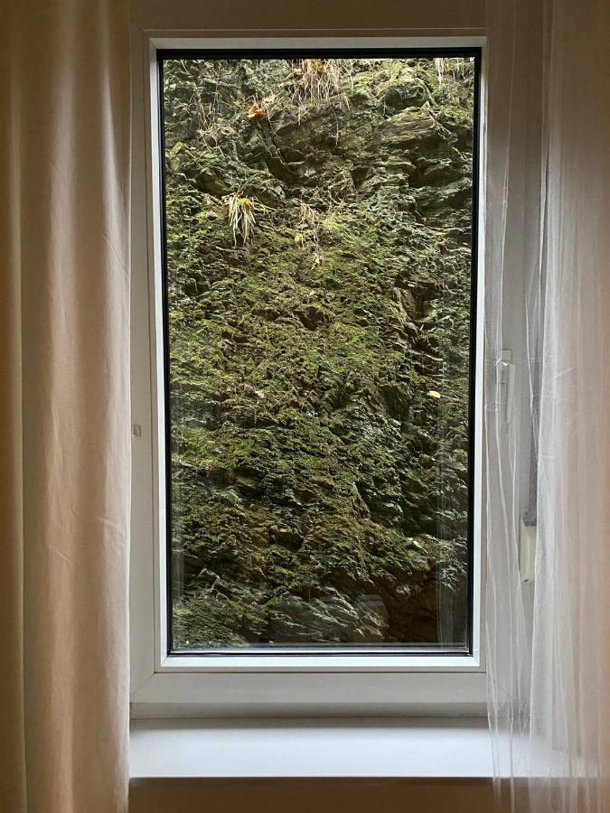 Ferienhaus Art Apartment - Harz Zorge Εξωτερικό φωτογραφία